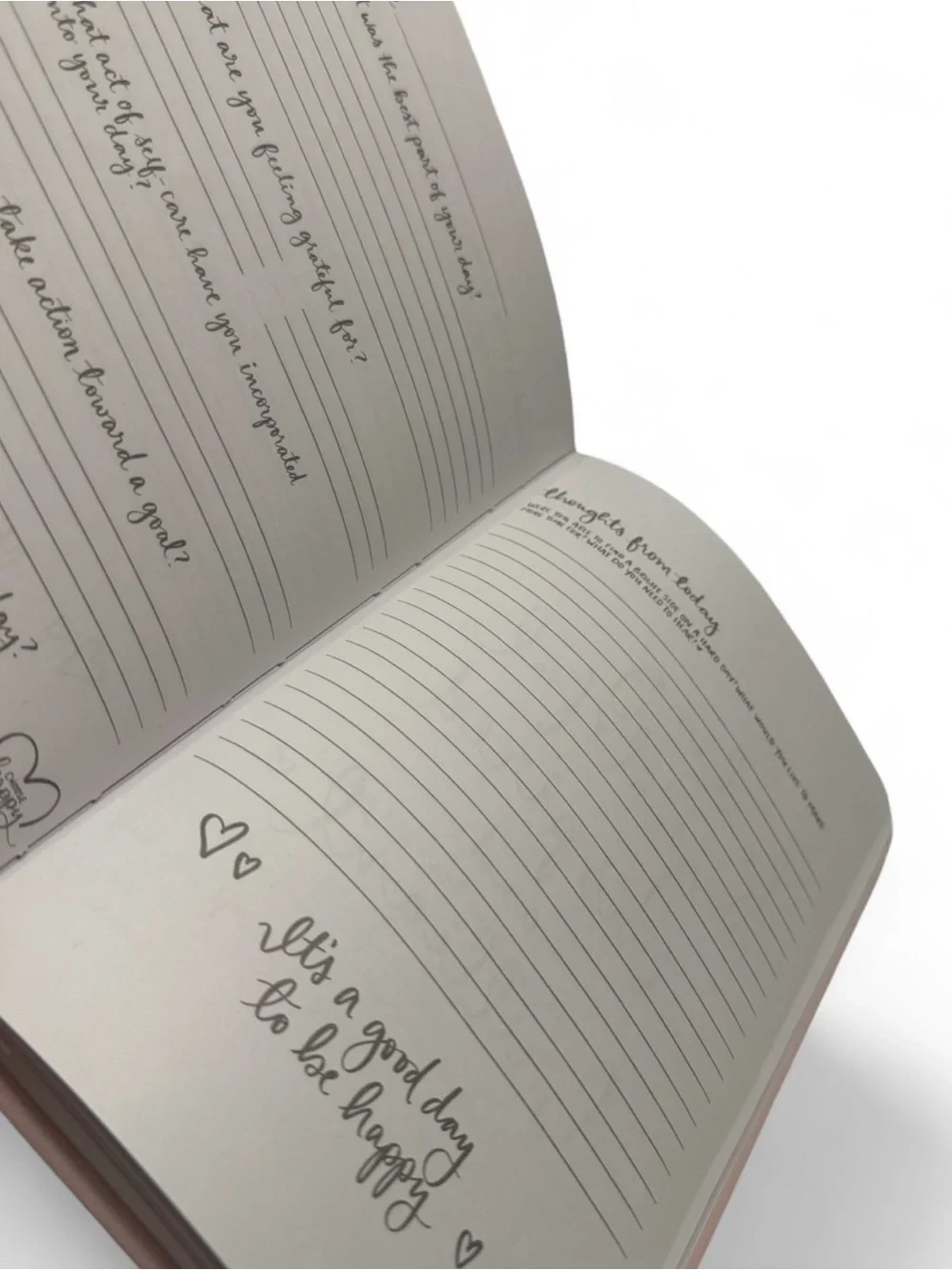 Choose Joy Every Day Pink Journal